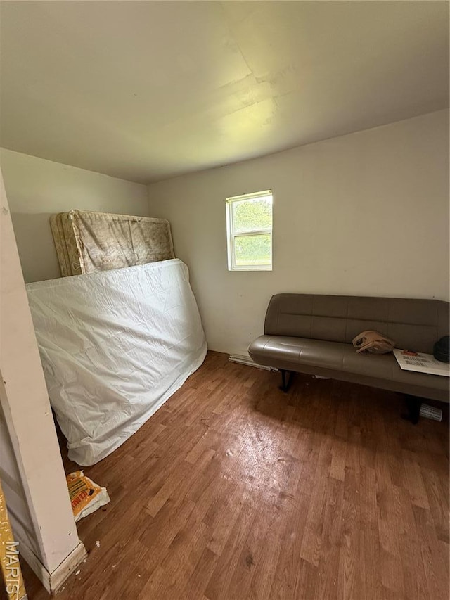 226 Dixie St, Sikeston, MO 63801 - bedroom with wood finished floors