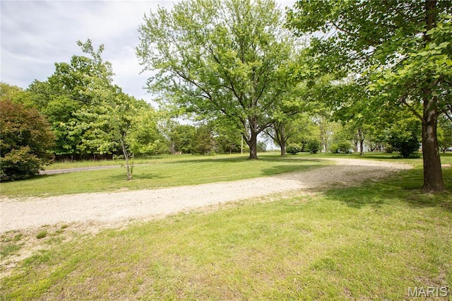 198 Fisher Rd, Cuba, MO 65453 - photo 5