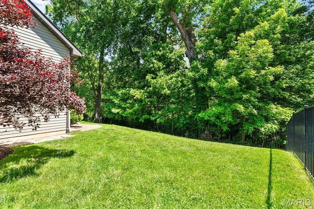 1438 Arbor Green Trl, Ofallon, IL 62269 - view of yard