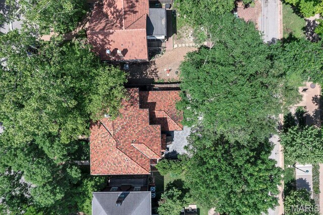 316 Melville Ave, Saint Louis, MO 63130 - view from above of property