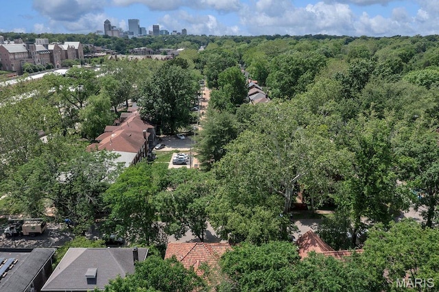316 Melville Ave, Saint Louis, MO 63130 - aerial view of property's location