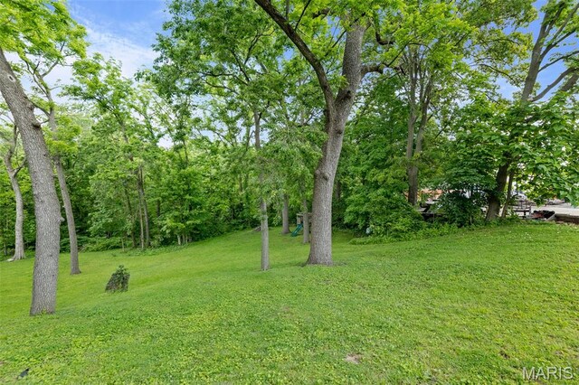 600 Mather St, Alton, IL 62002 - photo 8