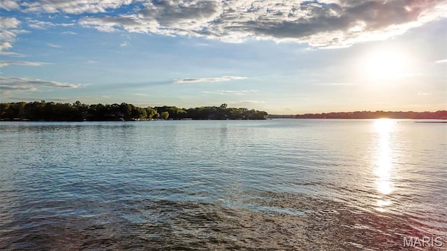 1204 Cobblestone Ter, Lake St Louis, MO 63367 - water view