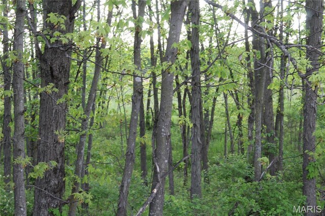110 Pump House Ln, Eolia, MO 63344 - photo 8
