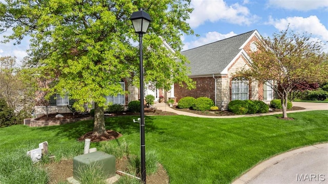 view of front of home featuring a front lawn, stone siding, and roof with shingles
