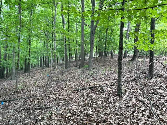 1513 Wolf Trail Rd, Wildwood, MO 63021 - photo 2