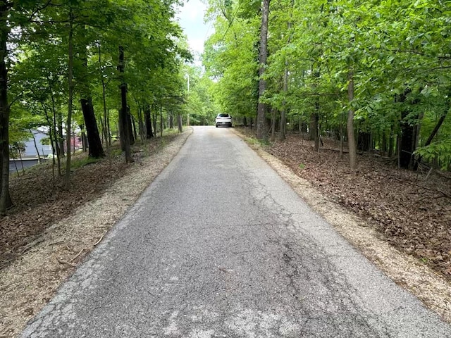 1513 Wolf Trail Rd, Wildwood, MO 63021 - photo 3