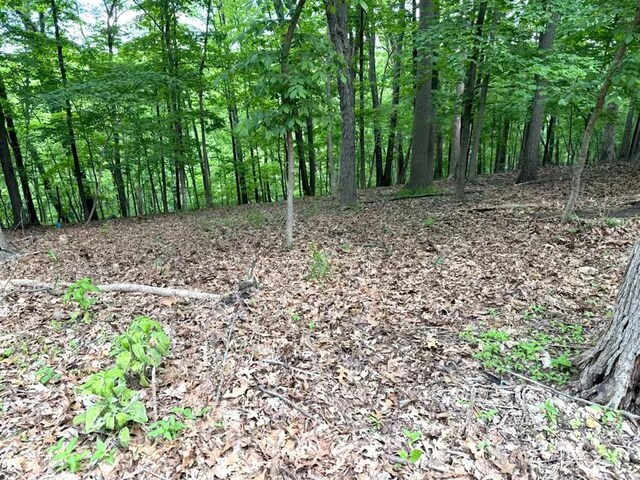 1513 Wolf Trail Rd, Wildwood, MO 63021 - photo 6