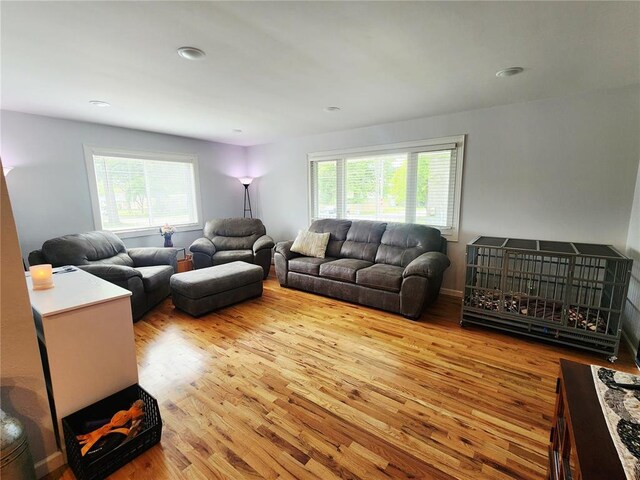 1104 Ringo St, Mexico, MO 65265 - living room with wood finished floors, healthy amount of natural light, and recessed lighting