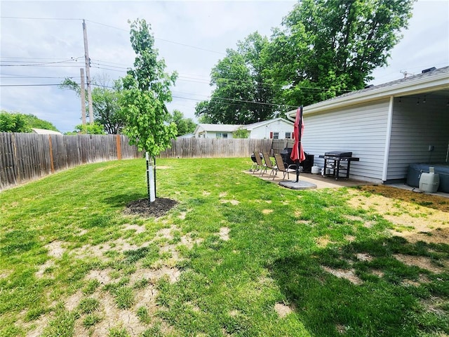 1104 Ringo St, Mexico, MO 65265 - view of yard with a patio area