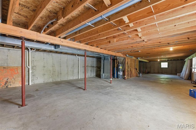 122 Morgan Lake Rd, De Soto, MO 63020 - below grade area with water heater