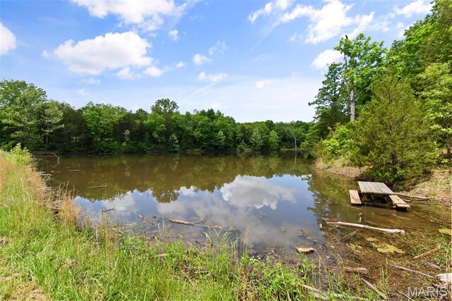 122 Morgan Lake Rd, De Soto, MO 63020 - water view with a heavily wooded area