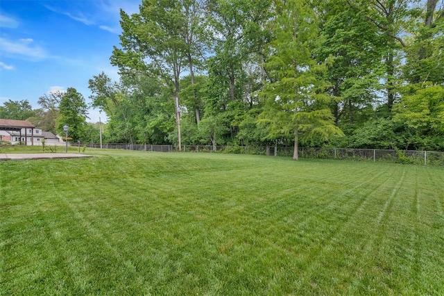 view of yard