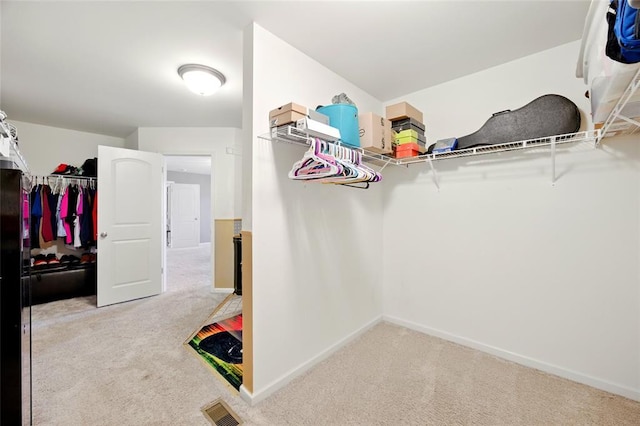 491 Cypress Creek Ln, Imperial, MO 63052 - walk in closet with carpet