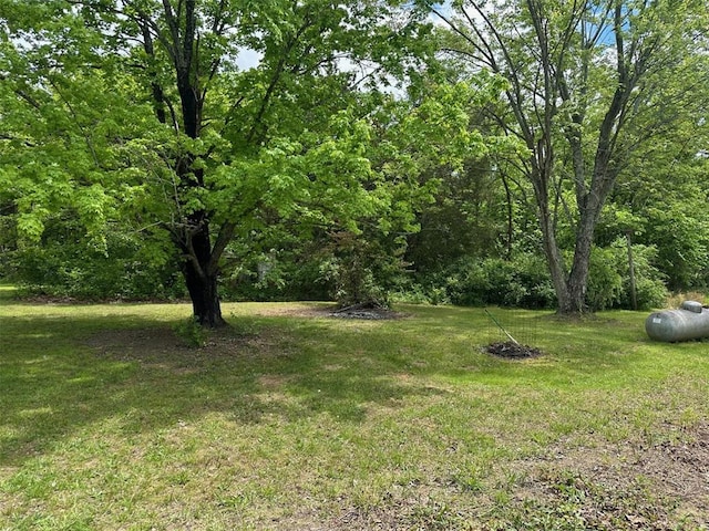 16864 State Highway 32, Bismarck, MO 63624 - view of grassy yard