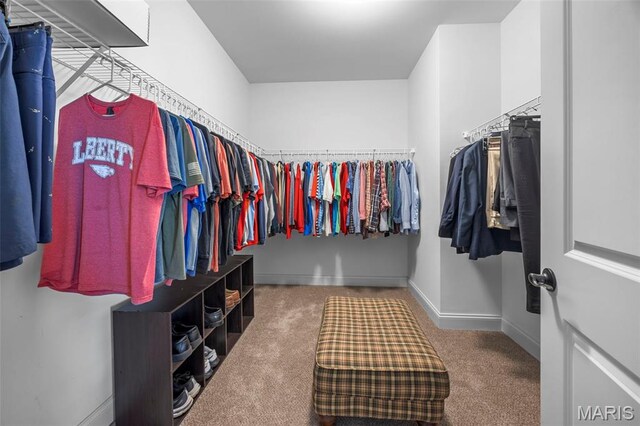 137 Countryshire Dr, Lake St Louis, MO 63367 - spacious closet with carpet flooring
