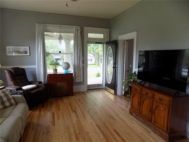 339 E Reynolds St E, Ironton, MO 63650 - living room featuring light wood-style floors