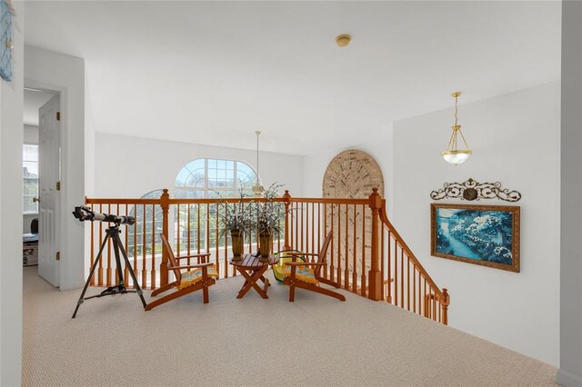 223 Falcon Hill Dr, Ofallon, MO 63368 - photo 19