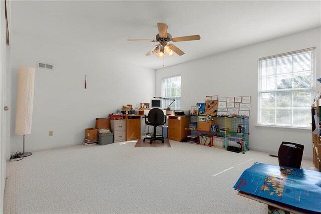 223 Falcon Hill Dr, Ofallon, MO 63368 - photo 23