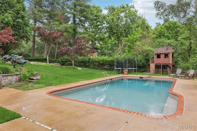 200 Hibler Oaks Dr, Creve Coeur, MO 63141 - outdoor pool with a trampoline, a lawn, a patio, a diving board, and view of wooded area