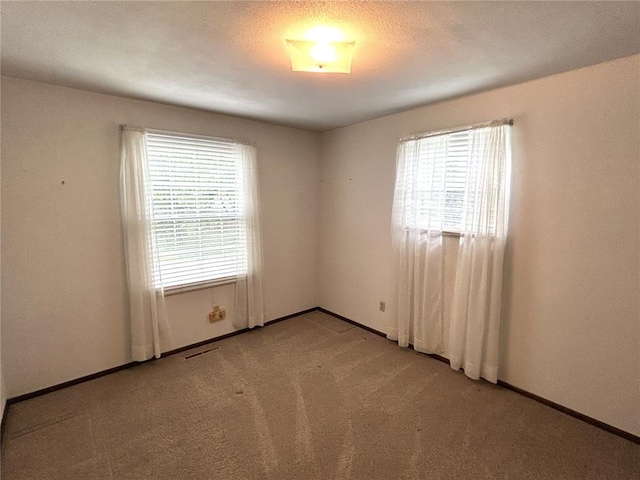 spare room with plenty of natural light, carpet, and baseboards