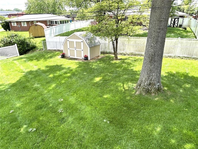 view of yard with a storage shed and an outdoor structure