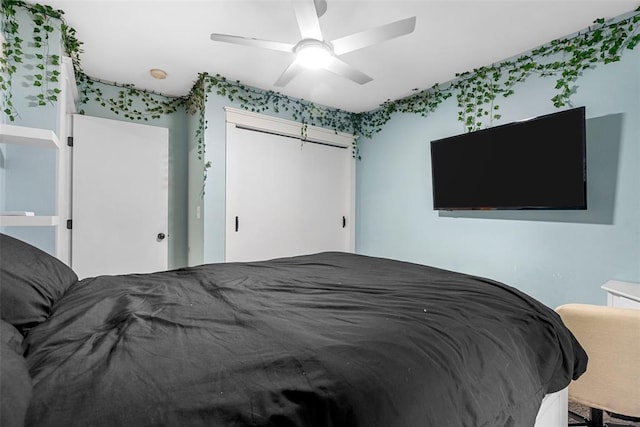 12930 Mohawk Dr, De Soto, MO 63020 - bedroom with a ceiling fan and a closet