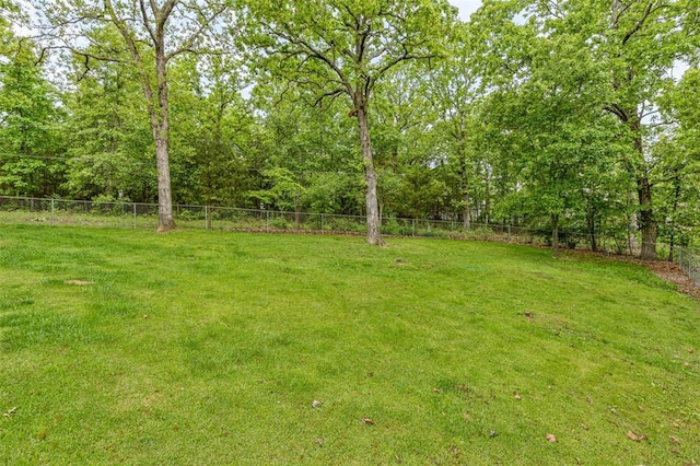 1767 Rue Andre, Bonne Terre, MO 63628 - view of yard
