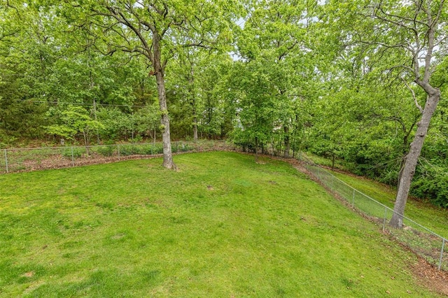 1767 Rue Andre, Bonne Terre, MO 63628 - view of yard with a view of trees