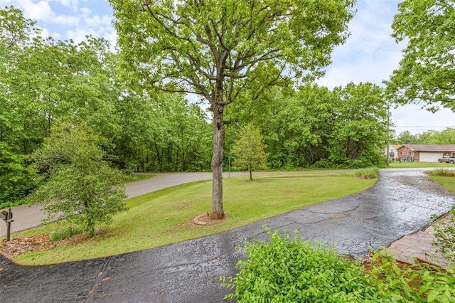 1767 Rue Andre, Bonne Terre, MO 63628 - view of community with a lawn and asphalt driveway