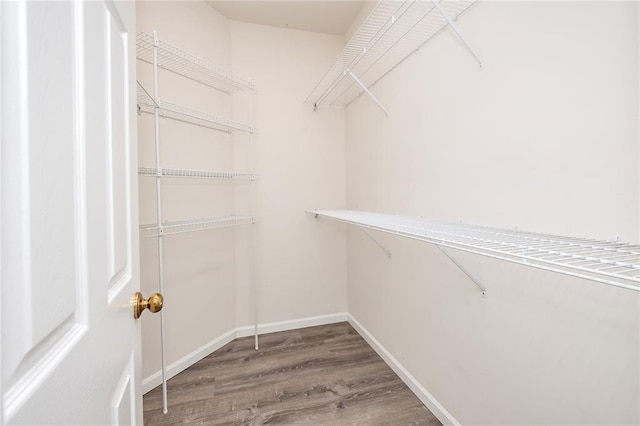 walk in closet featuring wood finished floors