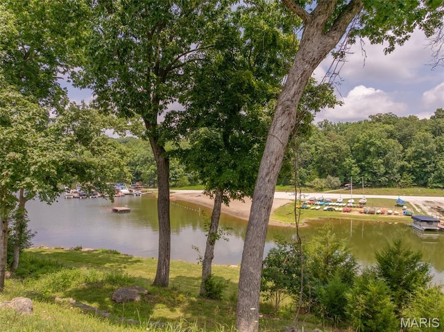 142 Geneva Cove Dr, Innsbrook, MO 63390 - photo 3