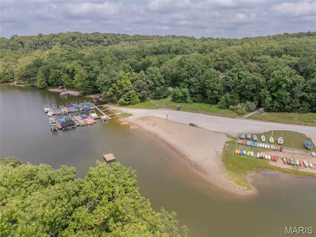 142 Geneva Cove Dr, Innsbrook, MO 63390 - photo 13