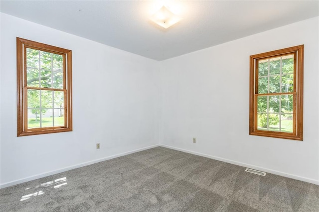 317 Marty Graten Ct, Hamel, IL 62046 - photo 20