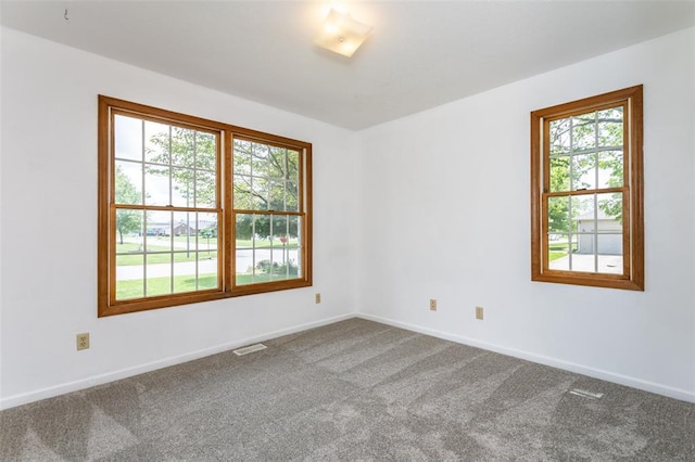317 Marty Graten Ct, Hamel, IL 62046 - photo 23
