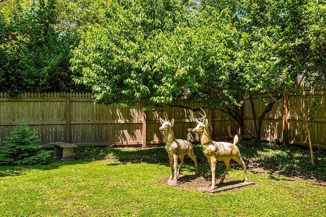 100 W Alton St, Marine, IL 62061 - view of yard