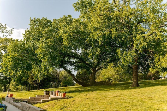 view of home's community with a lawn