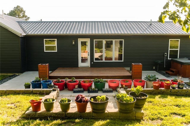 rear view of property featuring a patio, a wooden deck, a hot tub, and metal roof
