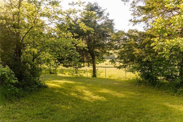 view of green lawn