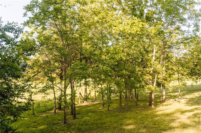 view of nature