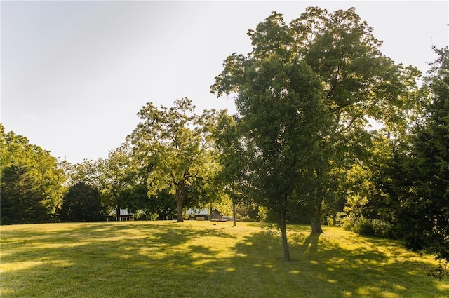 view of community with a lawn