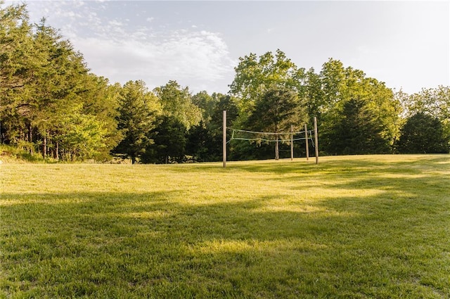 view of grassy yard with a wooded view