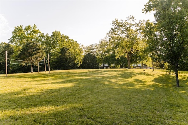view of grassy yard