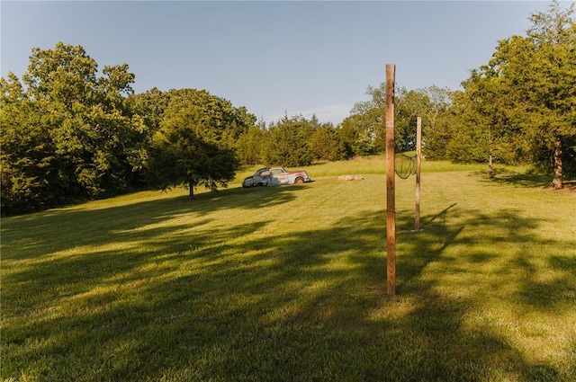 view of green lawn