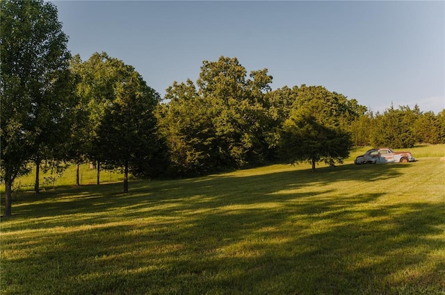view of grassy yard with a view of rural / pastoral area