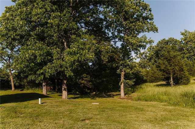 view of green lawn