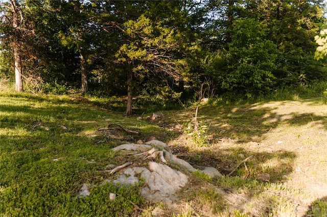 view of local wilderness