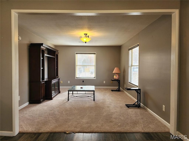 342 Deer Run Acres A, Williamsville, MO 63967 - interior space with plenty of natural light, baseboards, and wood finished floors