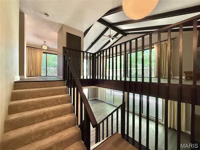8305 Brouk Dr, Cedar Hill, MO 63016 - staircase with ceiling fan and wood finished floors