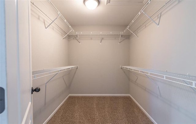 23529 Restore Rd, Waynesville, MO 65583 - walk in closet with carpet flooring